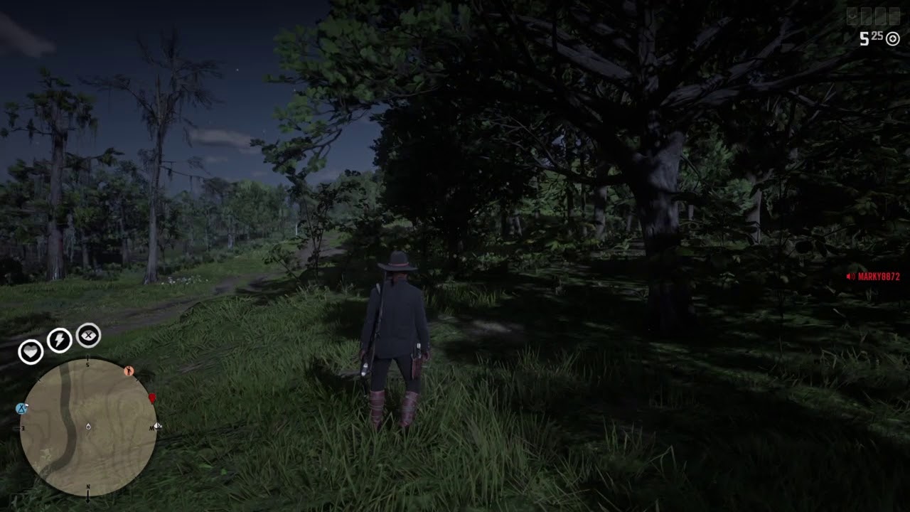 pics Red Dead Online Defensive Mode Useless the radar hack glitch red dead online