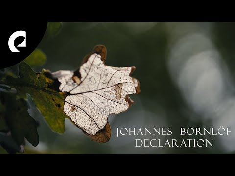 Johannes Bornlöf Declaration Cinematic Mood Video Johannes Bornlöf Declaration Cinematic Mood Video