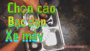 Cách chọn mua cảo bạc đạn ( vòng bi ) xe máy || cách sử dụng cảo bạc đạn xe máy