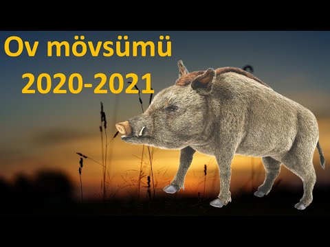 Azərbaycanda Ov mövsümü 2020-2021 Vəhşi heyvanların və quşların ovlanmasının müddətləri və normaları