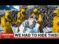 “I Must Tell the Truth” — Linda Moulton Howe Reveals What They Discovered Beneath Antarctica