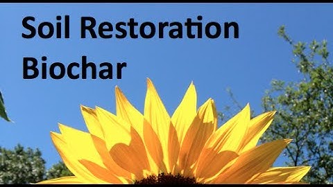 Biochar: Soil Restoration