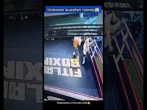 Шовхала Чурчаева нокаутировал