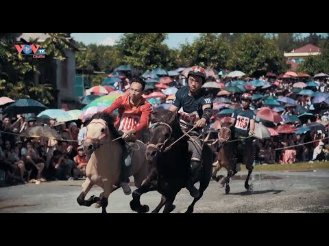 Video Lễ hội đua ngựa Bắc Hà - Nét văn hóa đặc sắc của đồng... - youtube