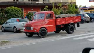 Fiat 616n1 somewhere in the vicinity of Treviso, Italy.