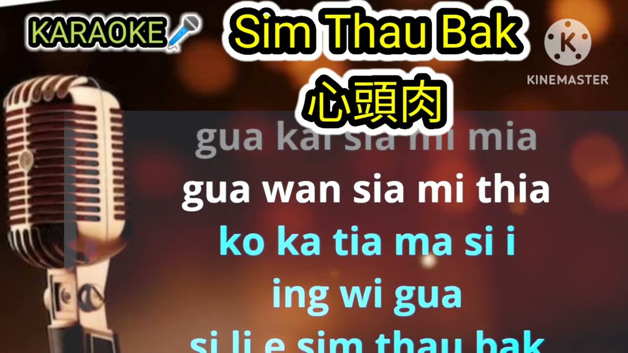 Sim Thau Bak 心頭肉 ( HOKKIAN )蔡義德 hokkien novocal karaoke lyrics by phinyin Male keys