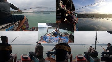 Câu Cá - Cắm Trại Thủy Điện Đa Mi - Phần 2 Câu Đài: Một Ngày Solo Đầy Cảm Giác