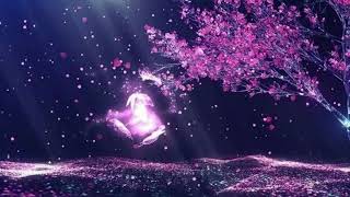 Melodic Bliss: Lovely Music for Your Dreamy Mind Retreat