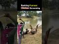 🐔 Ranking Funniest Chicken Screaming 😂 (Part 6)