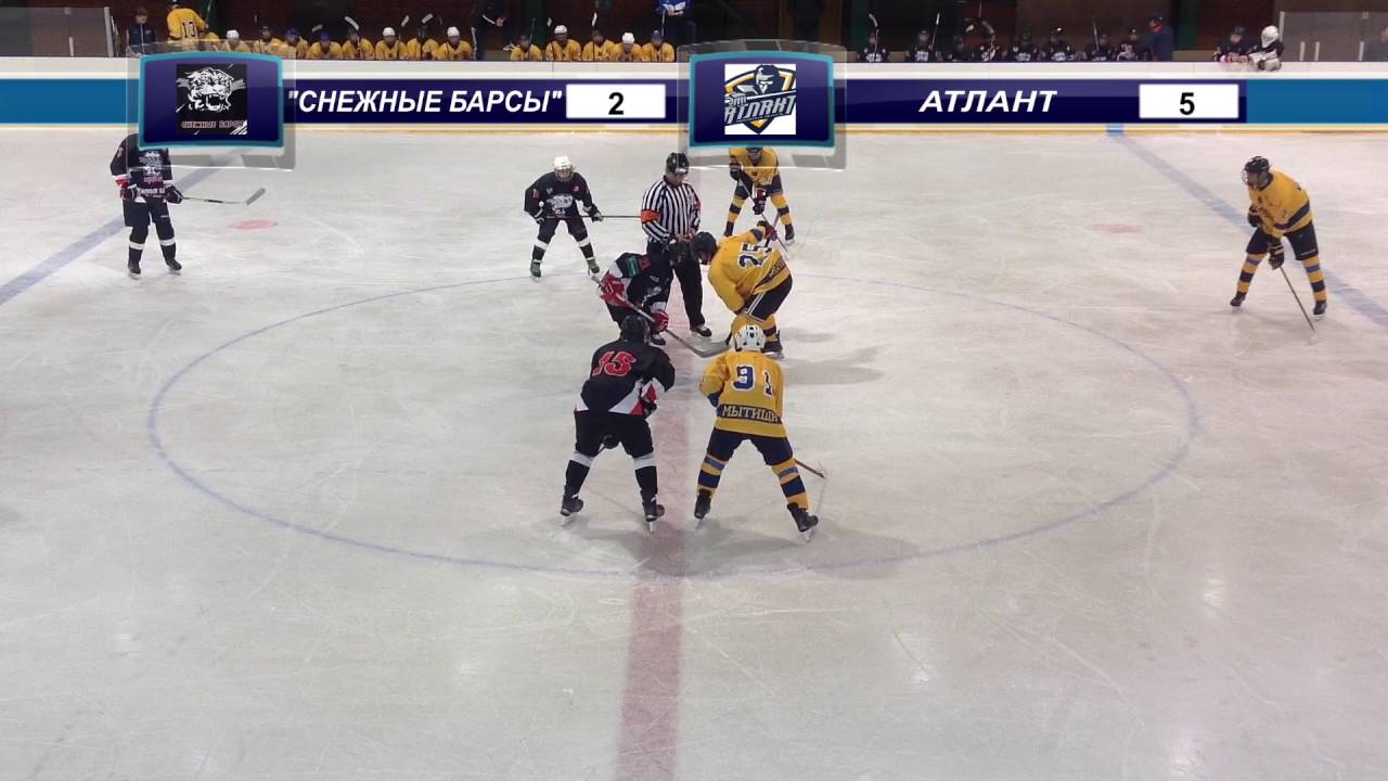хоккей с шайбой академия михайлова дети. локомотив северсталь. хк лев попрад форма. лев хоккейный клуб словакия. счет атлант.