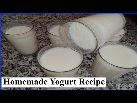 Homemade Yogurt Recipe - How To Make Yogurt At Home With Simple Ingredients For Ramadan (2023)