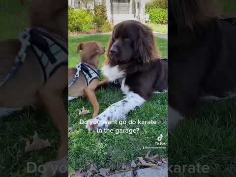 Instant #besties #tiktok