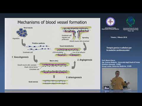 M. Giacca - Terapia genica e cellulare per le malattie cardiovascolari