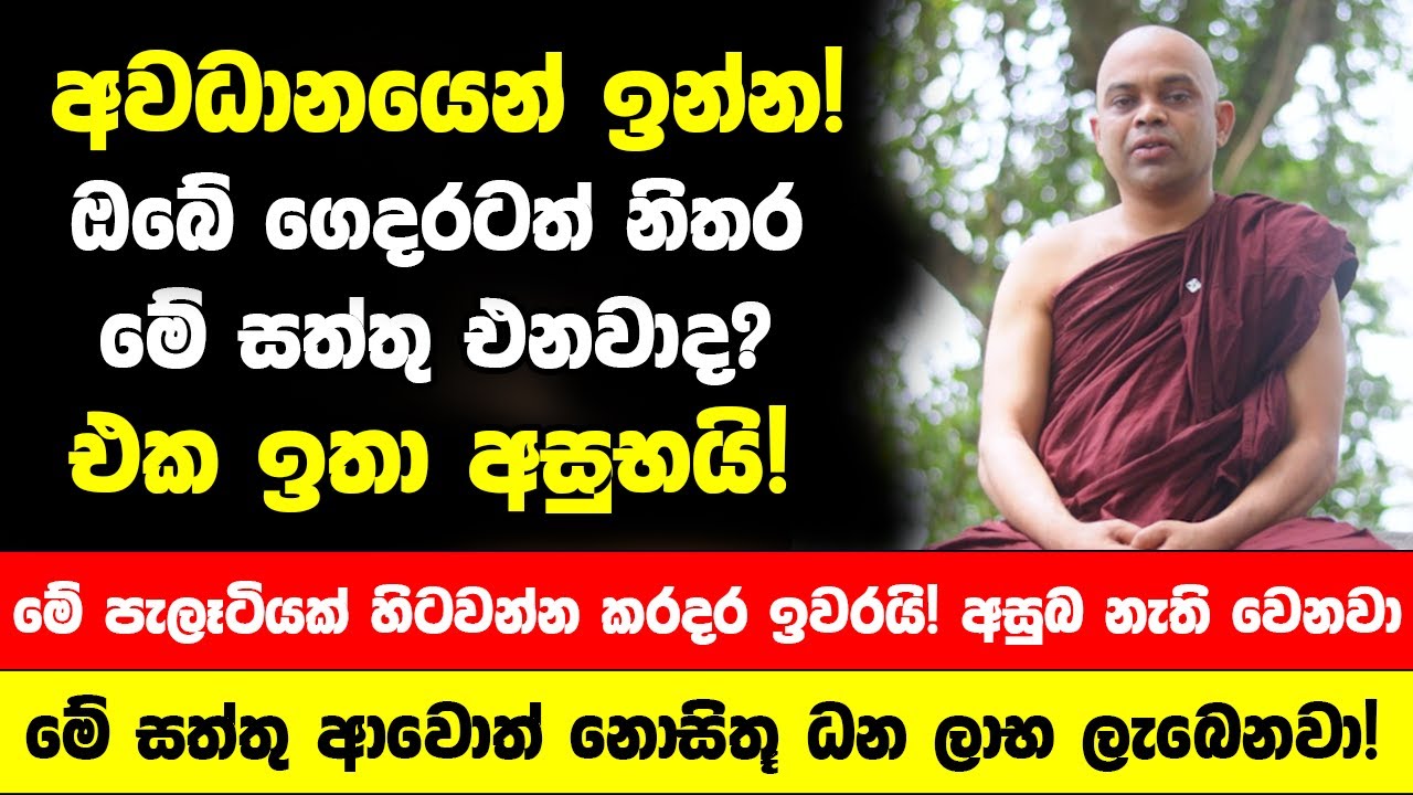 අවධානයෙන් ඉන්න! ඔබේ ගෙදරටත් නිතර මේ සත්තු එනවා නම් ඉතා අසුභයි! - මේ පැලෑටියක් හිටවන්න කරදර ඉවරයි!