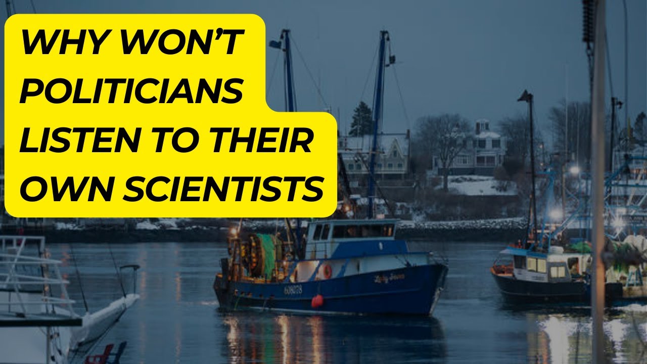 Politics vs. Science: The Troubling Future of Canada's Cod Fishery