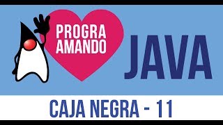 11 Curso Programación JAVA Caja Negra - Black Box