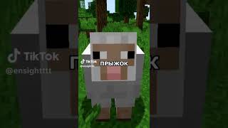 Спидран По Тиктокам О Майнкрафте #Minecraft #Minecraftshorts #Майнкрафт #Shortvideo #Java #Shorts