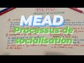 Georges herbert mead  le processus de socialisation