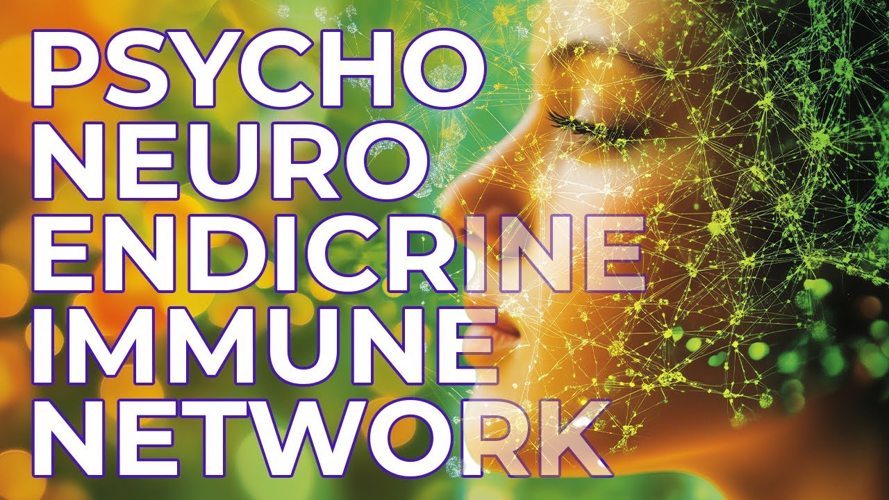 The Psycho Neuro Endocrino Immune Network – How Our Body’s Systems Work ...