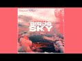 NewEra - Birds in The Sky (LORIMER Remix)