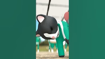 The Rat Using The Cat