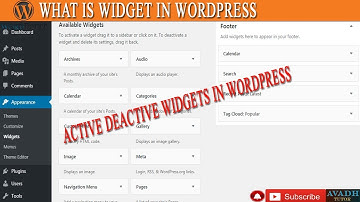 what is widget in wordpress || active deactive widgets in wordpress || avadh tutor
