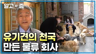 평범한 물류 회사에 유기견들의 천국이 생겼다? 8마리의 유기견을 돌보며 천국 같은 공간을 만들어준 사장님과 직원들│세상에 나쁜 개는 없다│알고e즘