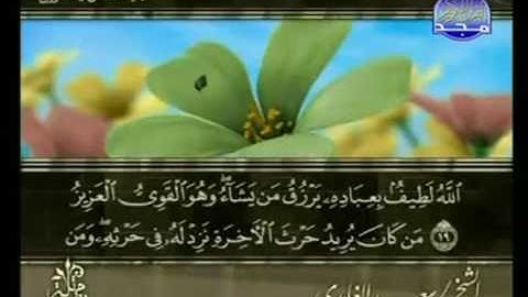 الختمة المرتلة للشيخ سعد الغامدي - الجزء الخامس والعشرون ( 25 ) - قناة المجد للقرآن الكريم