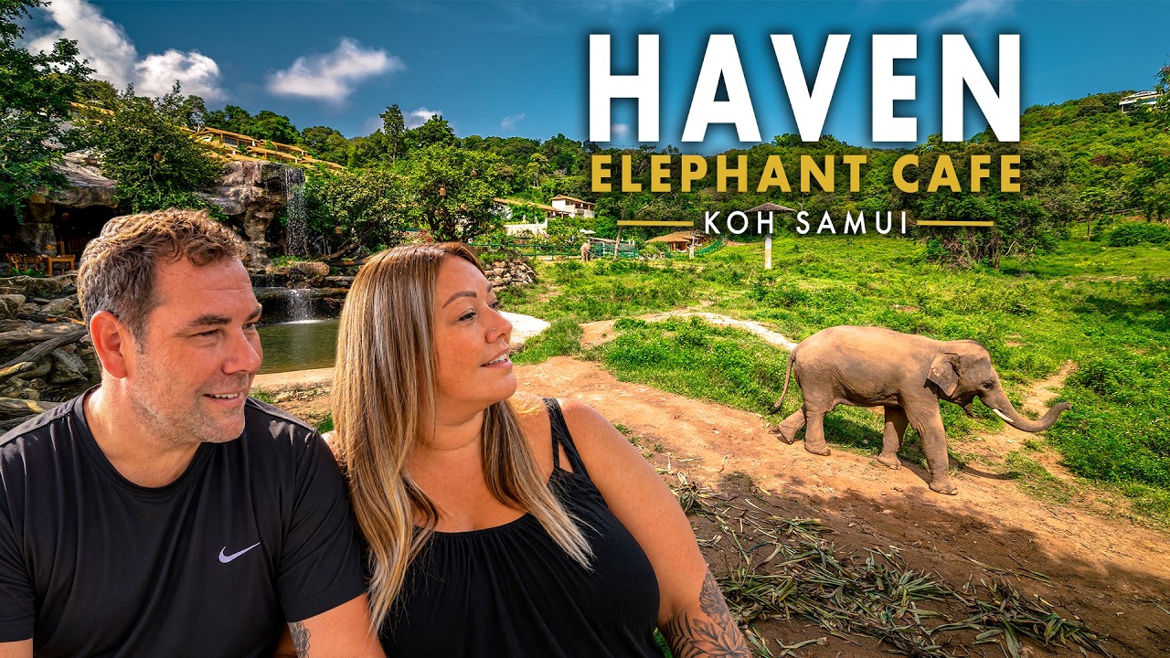 Elephants Played Right in Front of Us While We Had Lunch! 🇹🇭