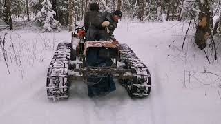 картинка: Гусеничный трактор поехали за дровами валежником.