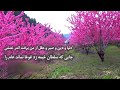 گنج شعر برخیز تا یکسو نهیم خوانش غزلی از سعدی 