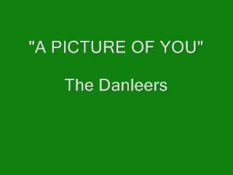 The Danleers - A Picture Of You