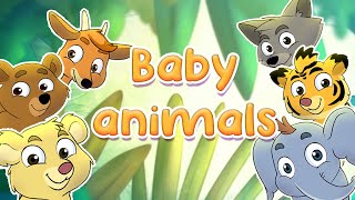 Baby Animals | Educational and Fun Animals Song  - Super kids