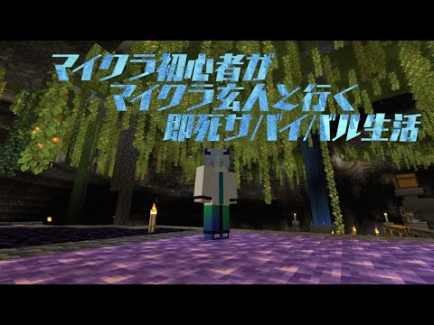 マインクラフト　初心者はおしゃんな家が作りたい