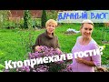 СТАРАЯ ДАЧА | У НАС ГОСТИ! Обзор дома и участка. Погребок с заготовками. №66