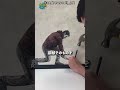 絵が額縁を壊した！？目を疑う錯覚アート