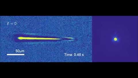 Photopolymerization with Light Fields Possessing Orbital Angular Momentum: Generation of Helical