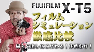 【FUJIFILM_X-T5】フィルムシミュレーション徹底比較！撮って出しに拘る_作例写真あり_【写真家】橘田龍馬_