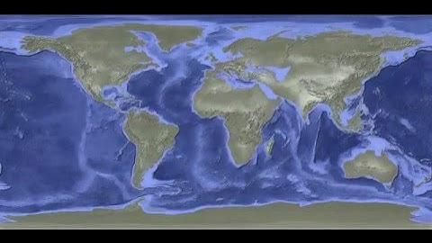 Back in Time: Present Day to 200 Million Years Ago | California Academy of Sciences