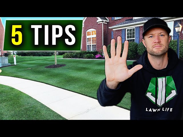 Essential Skills: What Skills Are Important for a Lawn Care Technician? 3 sddefault
