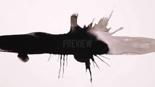 Get Ink Run Footage Now!!!