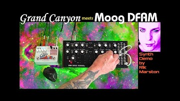EHX Grand Canyon meets Moog DFAM Analog Drum Synthesizer