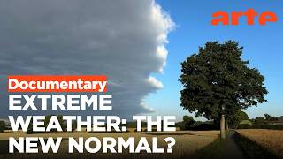 Extreme Weather: Drought and Heavy Rain | ARTE.tv Documentary