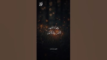 وَأَنتُمْ فِيهَا خَالِدُونَ🤍 - القارئ محمد دياب