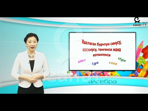 Video: Бурчтардын ар түрдүүлүгү