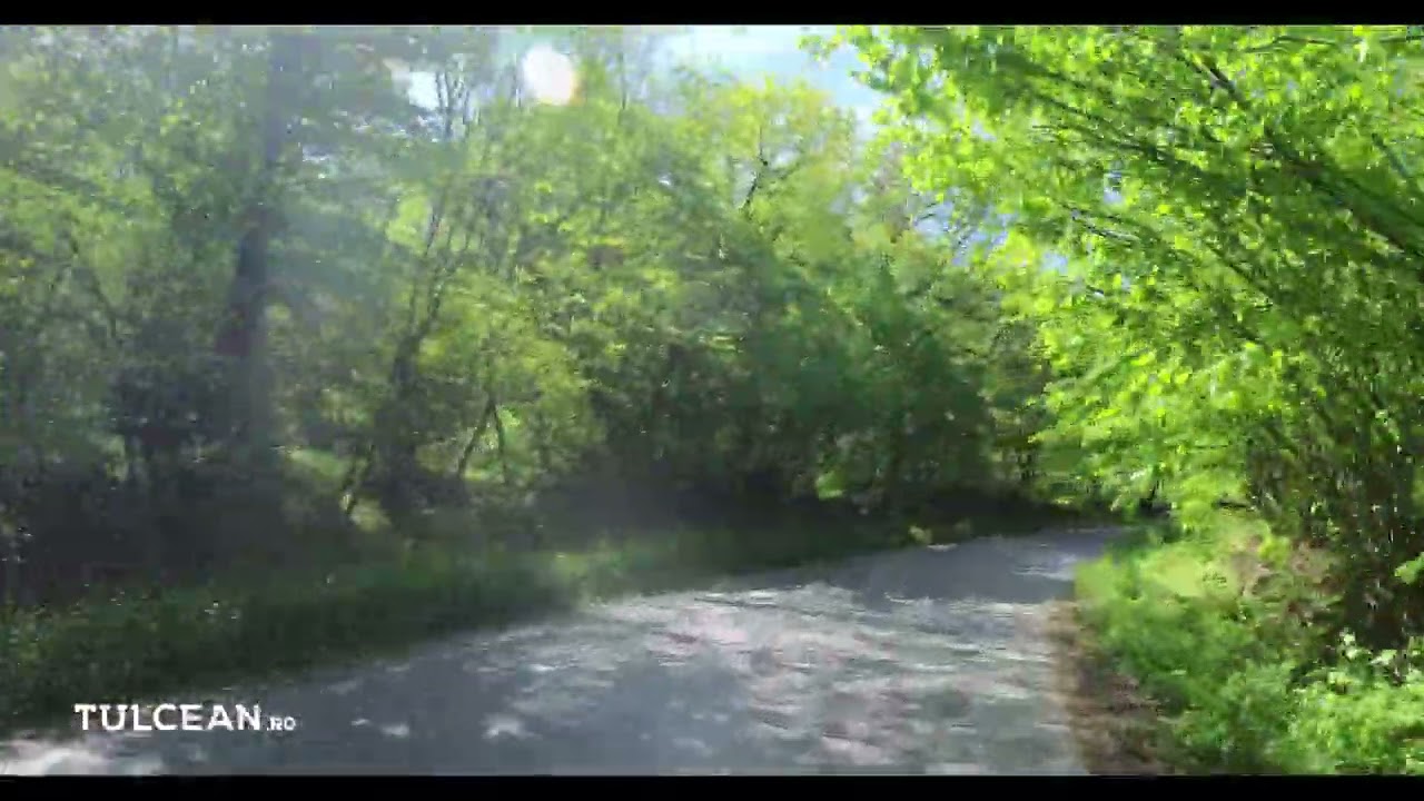 [4K] Drumuri Tulcene. Traseul Luncavița - Nifon - Hamcearca - Balabancea - Horia.