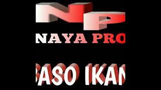 Naya _ Baso Ikan