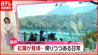 【秋晴れ】紅葉に七五三  芋堀りも  戻りつつある日常