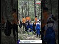 Milas’ta “Orman Benim” #keșfet #keşfetteyiz #reelsvideo #shortstory #shortvideo #shortvideos #reels