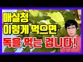 [매실청 드시기 전 꼭 보세요] 매실청 이렇게 먹으면 독을 먹는 겁니다!